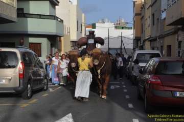 Romerías del Carmen en Marpequeña, Medianía y Las Huesas (Foto TF y TA)